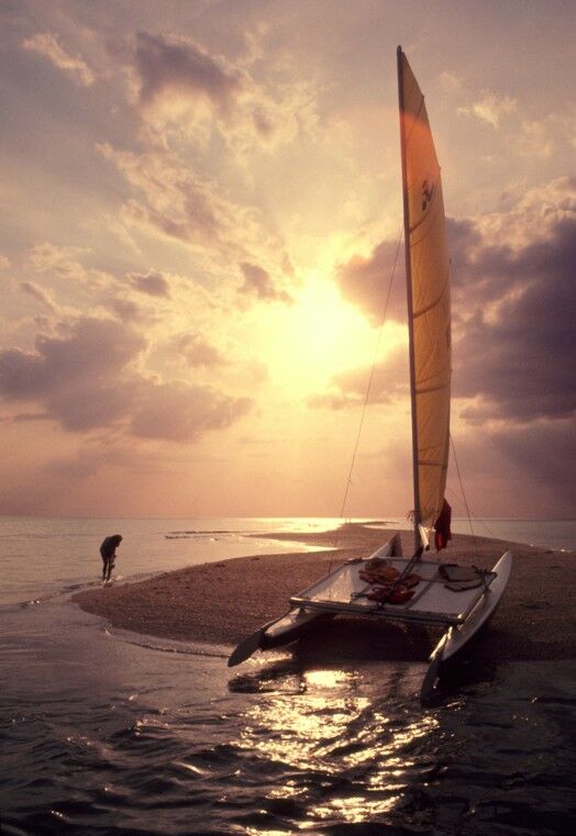 Click to See Next Image